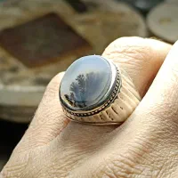 انگشتر شجر نقره|جواهرات|مراغه, |دیوار