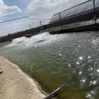 پرورش ماهی ده تنی فروشی|فروش دفتر صنعتی، کشاورزی، تجاری|ورزنه, |دیوار