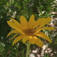 هدیه ۵۰۰هزار تومانی