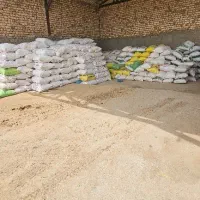 سویا ذرت جو دامی