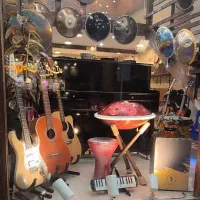 کالیمبا طبلک بلز ملودیکا تیمپو /تمبورین|پیانو، کیبورد، آکاردئون|مشهد, فرهنگ|دیوار