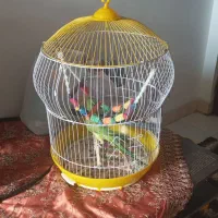 قفس پرندگان