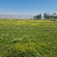 زمین-250متر-سند-تک-برگ-ملکی-زیر-قیمت-منطقه