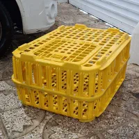 سبد حمل مرغ زنده