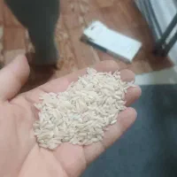برنج طارم هاشمی خالص اصلا قاطی نداره