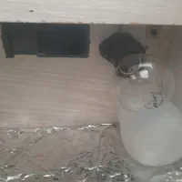 دستگاه جوجه کشی نیمه اتوماتیک|لوازم جانبی حیوانات|زنجان, |دیوار