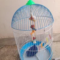 قفس آویز پرنده|لوازم جانبی حیوانات|قائن, |دیوار