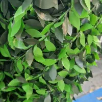 فروش مستقیم فنس چمنی و برگی|عمدهفروشی|شیراز, دوکوهک|دیوار