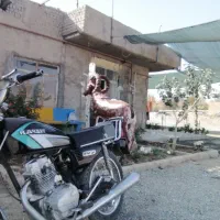 متور سیکلت پرند 150 مشکی|موتورسیکلت|کاشمر, |دیوار