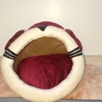 خونه گربه و سگ