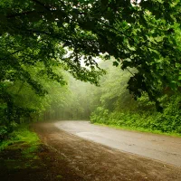 تور یک روزه فرداجمعه 14 آذر