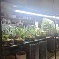 ساخت و فروش انواع تراریوم و پالاداریوم و اکواریوم