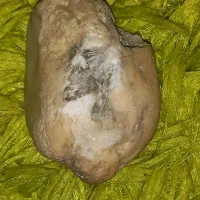 سنگ آسیاب گبری کلگسیونی|کلکسیون اشیاء عتیقه|قوچان, |دیوار