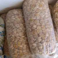 انجیر آردی ،تیزاب و آفتاب خشک|خوردنی و آشامیدنی|دالاهو, |دیوار