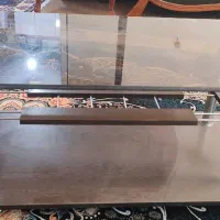 میز مبل در حدنوع|مبلمان خانگی و میز عسلی|شیراز, بید زرد|دیوار