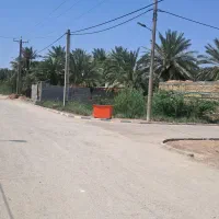 زمین-معمره-صنگور-شلهه