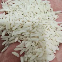 برنج هاشمی|خوردنی و آشامیدنی|رشت, نخودچر|دیوار