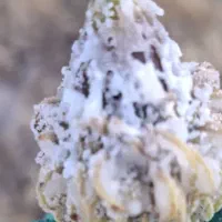 ش وک ه