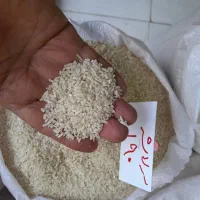 تهیه و توزیع برنج آستانه اشرفیه،هندی و پاکستانی|خوردنی و آشامیدنی|آستانه اشرفیه, |دیوار