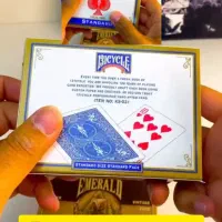 پاسور بهترین قیمت جهت فروش|اسباببازی|تربتحیدریه, چهارراه خواف|دیوار