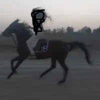 فروش و اجاره اسب ساعتی،روزانه جهت عکاسی،سوارکاری|اسب و تجهیزات اسبسواری|شاندیز, |دیوار