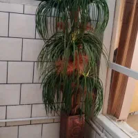 گل مصنوعی زیبا سالم بدون عیب درحد