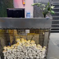 دکور پوشاک|فروشگاه و مغازه|کرج, شهرک طالقانی|دیوار