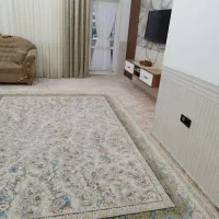 قالی ۹ متری و ۴ متری ۱۲۰۰ شانه پشت سایپا