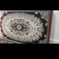 ۶ تا پشتی کرم لاکی