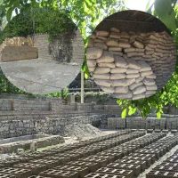 نیرو برای بلوکزنی دلفارد