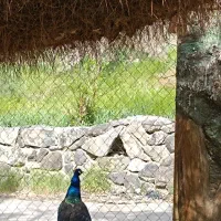 راهنمایی کنید