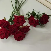 گولی رزی زرشکی مخمل|لباس|مهاباد (آذربایجان غربی), |دیوار