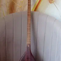 سه تار|سازهای سنتی|همدان, |دیوار