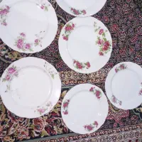 شش عدد گل سرخ قدیمی