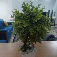 درختچه مصنوعی شمشاد