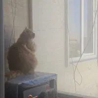 نیروی خدماتی