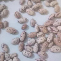لوبیا چیتی