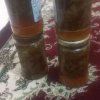 عسل کوهی|عمده‌فروشی|صوغان, |دیوار