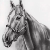 طراحی|تابلو، نقاشی، عکس|سراب, |دیوار