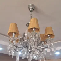 لوستر عالیجناب