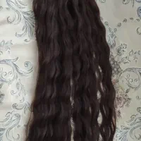 پروتز طبیعی