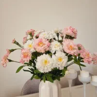 گل داوودی با کیفیت بالا