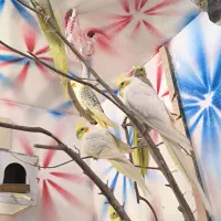 ۸ تا عروس هلندی خوشگل یکی هم اشانتیون