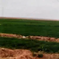 فروش2هکتار زمین کشاورزیR1کانال کشی آب روستا آسیاب