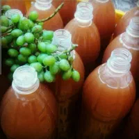 آبغوره طبیعی بدون نمک و ابنارنج شیرازی دورد دار|عمده‌فروشی|همدان, |دیوار