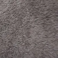 بل سلام یک عدد پالاز موکت ۹متری|موکت|آبادان, |دیوار