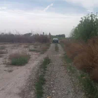 زمین مناسب باغچه ۱۰۰۰ متری|فروش زمین و ملک کلنگی|اسلامشهر, کاشانک|دیوار