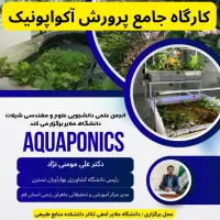 فلاور زد سه بند با غذای هد مالزی|ماهی|مشهد, خلق آباد سفلی|دیوار