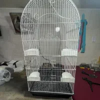 قفس پرنده