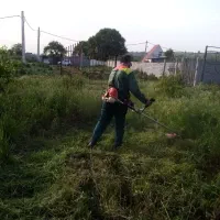علفتراشی ، هرس درختان و کاشت نهال و گل